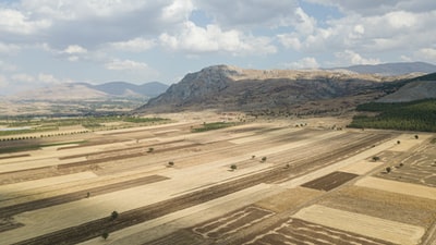 Brown fields under the blue sky during the day
